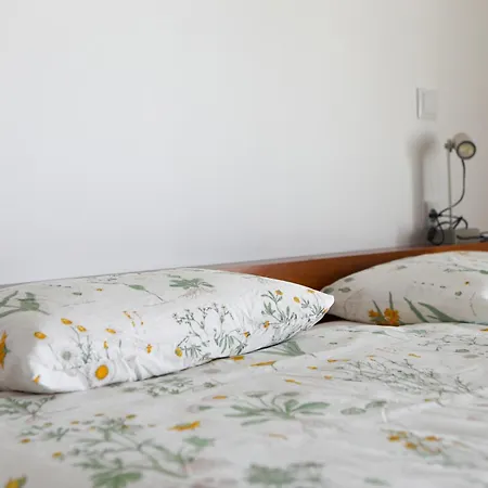 Casa Do Limoeiro شقة